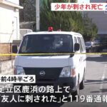 レス1番のリンク先のサムネイル画像