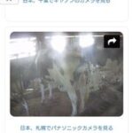 レス1番のリンク先のサムネイル画像