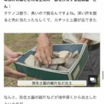 レス8番の画像1