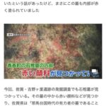 レス14番の画像1