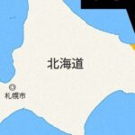 レス1番のリンク先のサムネイル画像
