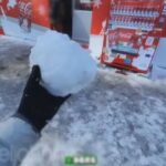 レス1番のリンク先のサムネイル画像
