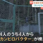 レス1番のリンク先のサムネイル画像