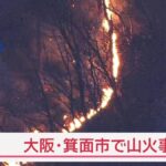 レス1番のリンク先のサムネイル画像