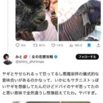 レス1番の画像3