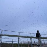 レス8番の画像1