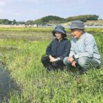 レス1番のリンク先のサムネイル画像