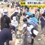 レス1番のリンク先のサムネイル画像