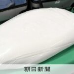 レス1番のリンク先のサムネイル画像