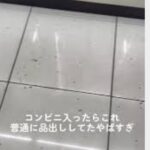 レス8番の画像3