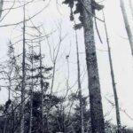 レス48番の画像2