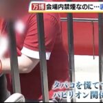 レス5番の画像2