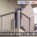 レス1番のリンク先のサムネイル画像