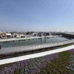 レス22番の画像1