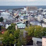 レス1番のリンク先のサムネイル画像