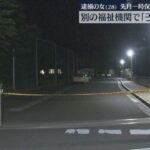 レス1番のリンク先のサムネイル画像