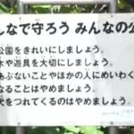 レス1番のリンク先のサムネイル画像