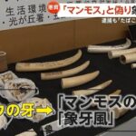 レス1番のリンク先のサムネイル画像