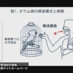 レス1番のリンク先のサムネイル画像