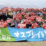 レス1番のリンク先のサムネイル画像