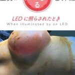 レス13番の画像2