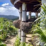 レス1番の画像6