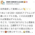 レス7番の画像4