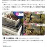 レス10番の画像3