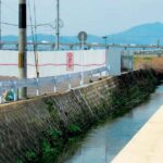 レス1番のリンク先のサムネイル画像