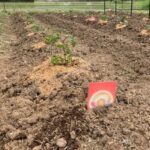 レス7番の画像1