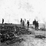 レス13番の画像1