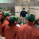 レス3番の画像1