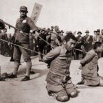 レス8番の画像1