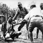 レス6番の画像1