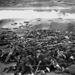 レス12番の画像1