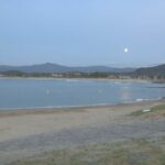 レス1番のリンク先のサムネイル画像