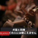 レス18番のリンク先のサムネイル画像