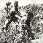 レス5番の画像1