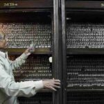 レス2番のリンク先のサムネイル画像