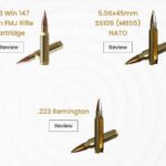 レス3番の画像1