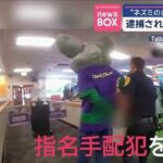 レス1番のリンク先のサムネイル画像