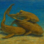 レス1番のリンク先のサムネイル画像