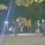 レス1番のリンク先のサムネイル画像