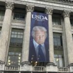 レス1番の画像4