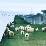 レス1番の画像5