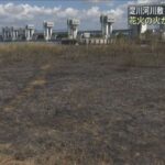 レス1番のリンク先のサムネイル画像