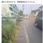 レス1番の画像6