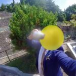 レス1番のリンク先のサムネイル画像