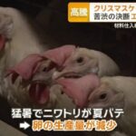 レス2番の画像2