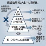 レス6番の画像2